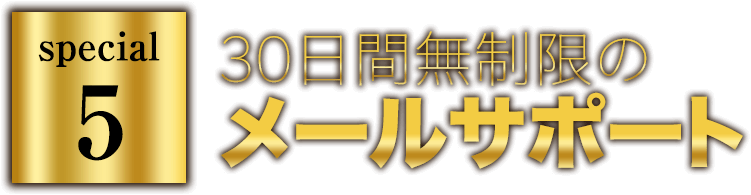 30日間無制限のメールサポート